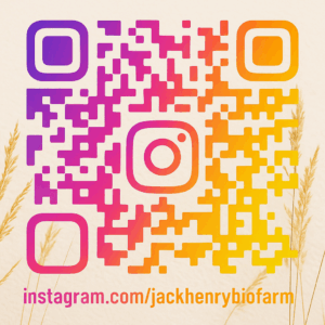 instagramQR-Code